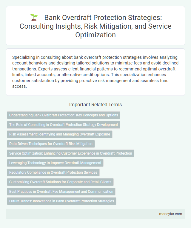 Bank Overdraft Protection Strategies: Consulting Insights, Risk Mitigation, and Service Optimization