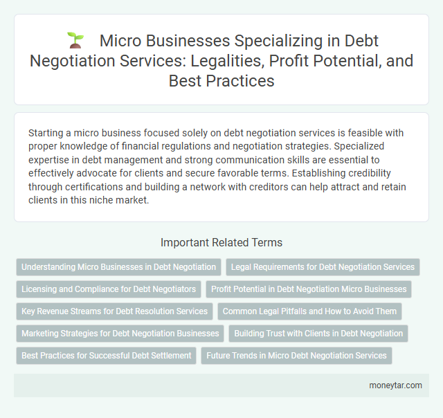 Micro Businesses Specializing in Debt Negotiation Services: Legalities, Profit Potential, and Best Practices
