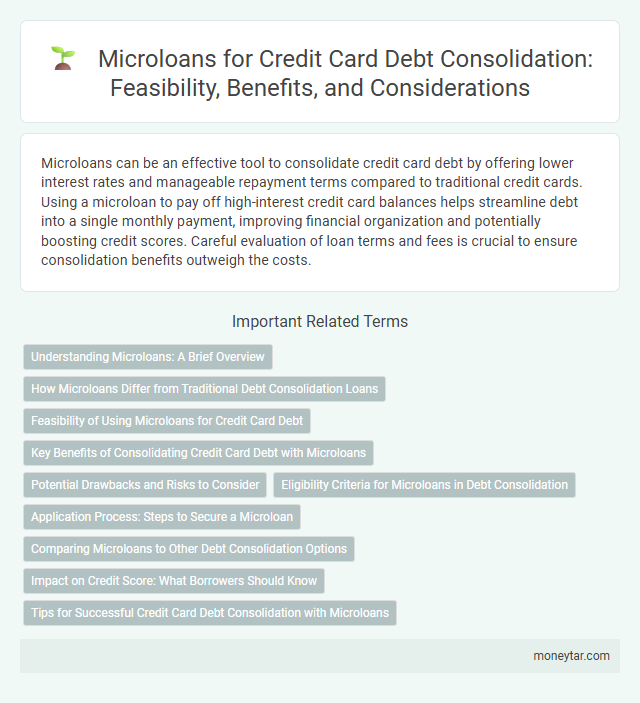 Microloans for Credit Card Debt Consolidation: Feasibility, Benefits, and Considerations