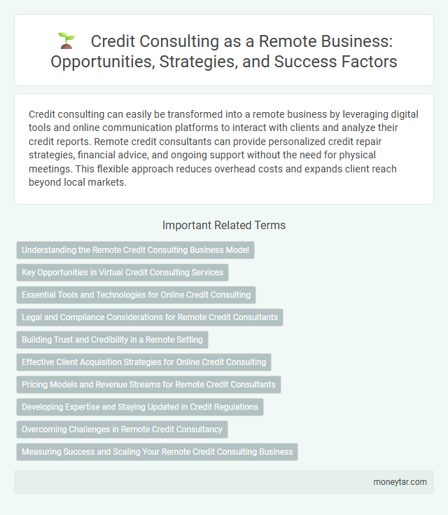 Credit Consulting as a Remote Business: Opportunities, Strategies, and Success Factors