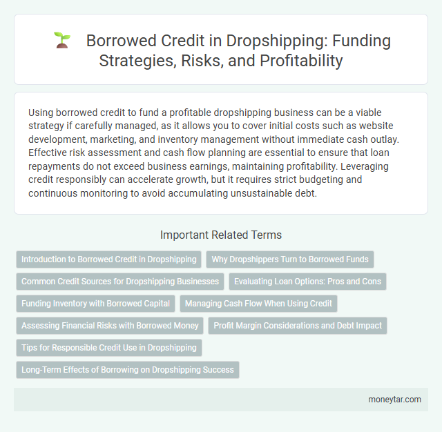 Borrowed Credit in Dropshipping: Funding Strategies, Risks, and Profitability