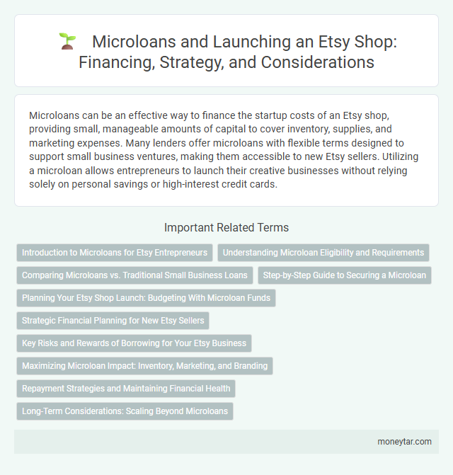 Microloans and Launching an Etsy Shop: Financing, Strategy, and Considerations