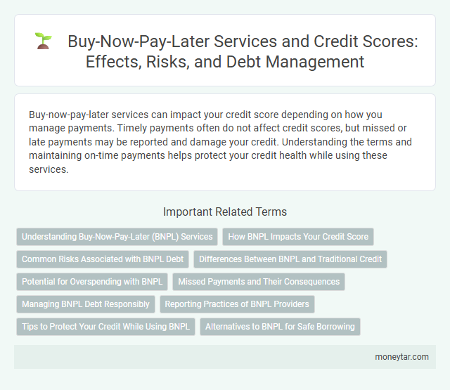 Buy-Now-Pay-Later Services and Credit Scores: Effects, Risks, and Debt Management