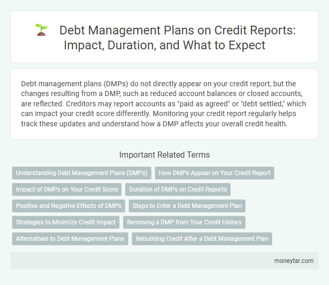 Debt Management Plans on Credit Reports: Impact, Duration, and What to Expect