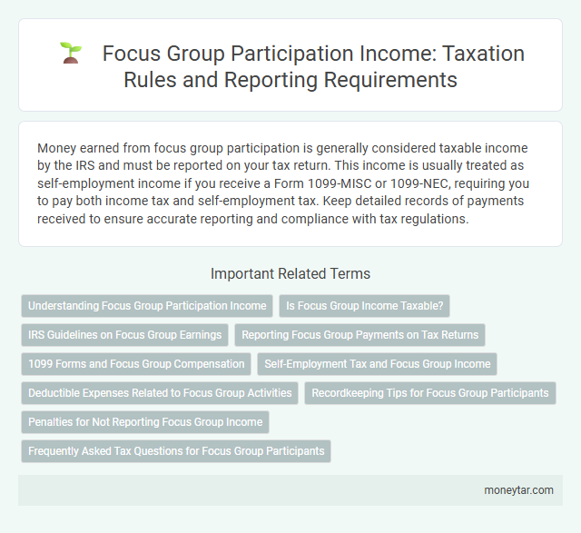 Focus Group Participation Income: Taxation Rules and Reporting Requirements