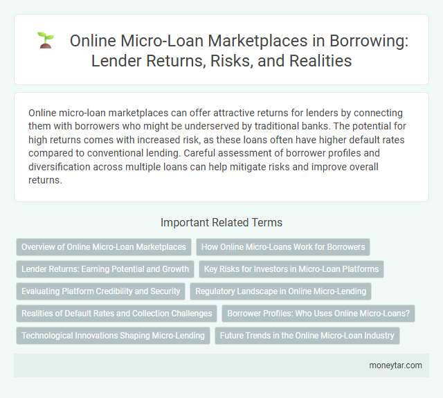 Online Micro-Loan Marketplaces in Borrowing: Lender Returns, Risks, and Realities