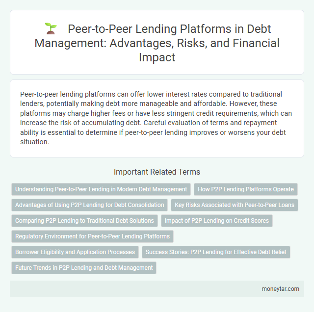 Peer-to-Peer Lending Platforms in Debt Management: Advantages, Risks, and Financial Impact