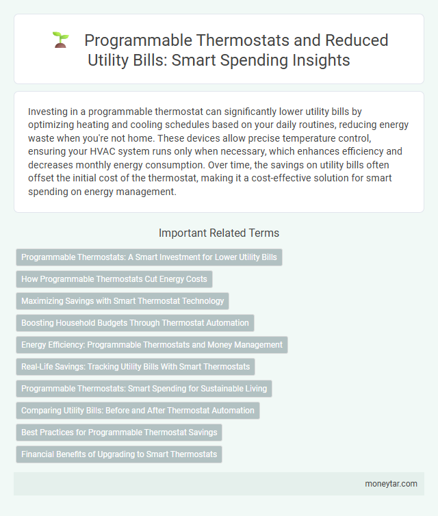 Programmable Thermostats and Reduced Utility Bills: Smart Spending Insights