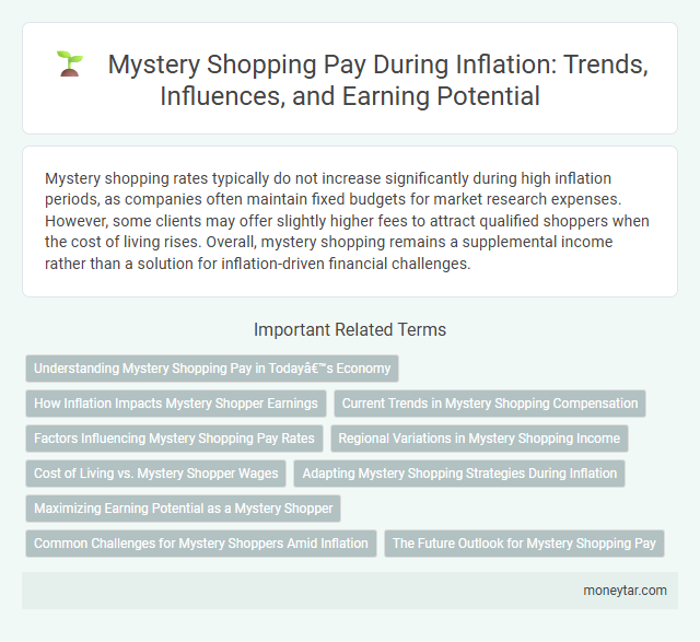 Mystery Shopping Pay During Inflation: Trends, Influences, and Earning Potential