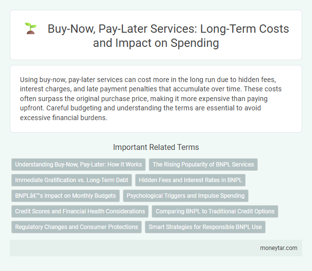 Buy-Now, Pay-Later Services: Long-Term Costs and Impact on Spending