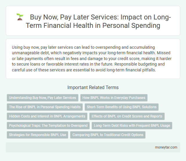 Buy Now, Pay Later Services: Impact on Long-Term Financial Health in Personal Spending