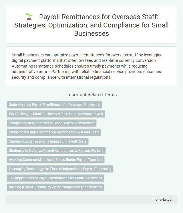 Payroll Remittances for Overseas Staff: Strategies, Optimization, and Compliance for Small Businesses
