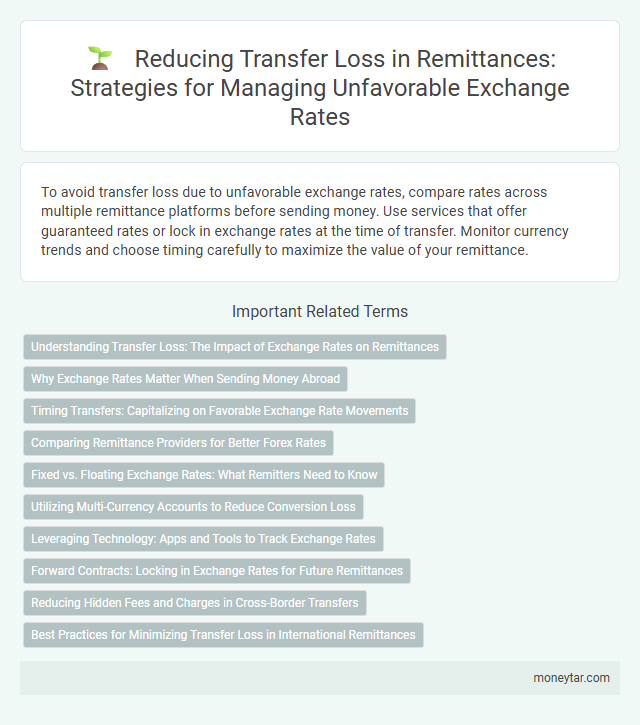 Reducing Transfer Loss in Remittances: Strategies for Managing Unfavorable Exchange Rates