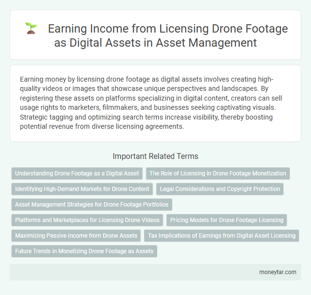 Earning Income from Licensing Drone Footage as Digital Assets in Asset Management