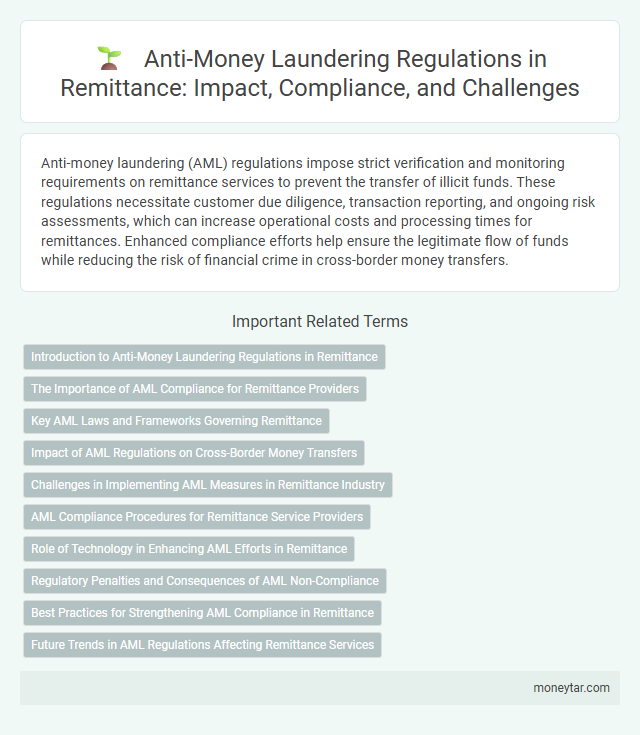 Anti-Money Laundering Regulations in Remittance: Impact, Compliance, and Challenges