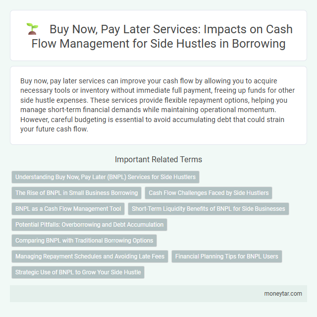 Buy Now, Pay Later Services: Impacts on Cash Flow Management for Side Hustles in Borrowing