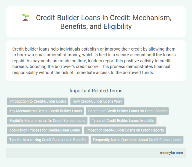 Credit-Builder Loans in Credit: Mechanism, Benefits, and Eligibility