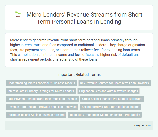 Micro-Lenders' Revenue Streams from Short-Term Personal Loans in Lending