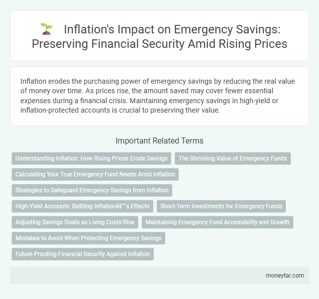Inflation's Impact on Emergency Savings: Preserving Financial Security Amid Rising Prices