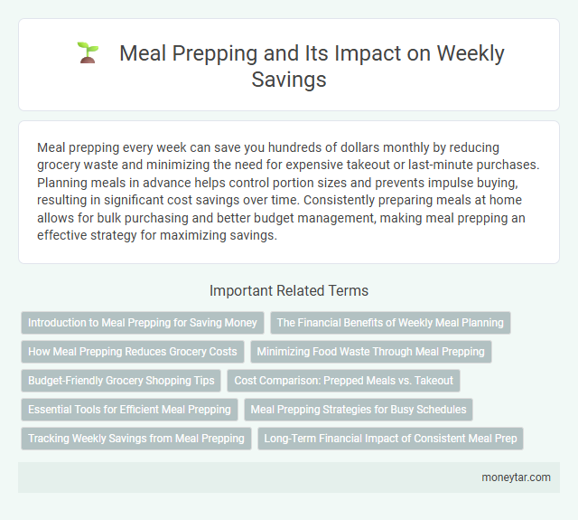 Meal Prepping and Its Impact on Weekly Savings