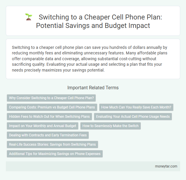 Switching to a Cheaper Cell Phone Plan: Potential Savings and Budget Impact