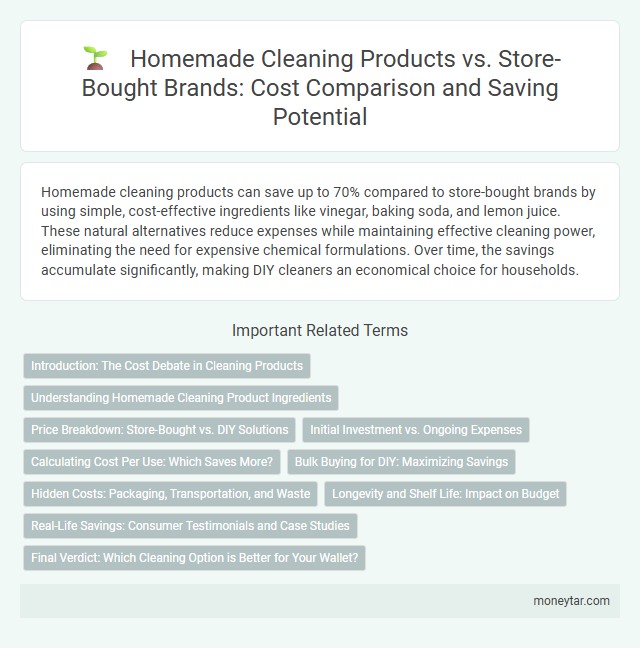 Homemade Cleaning Products vs. Store-Bought Brands: Cost Comparison and Saving Potential