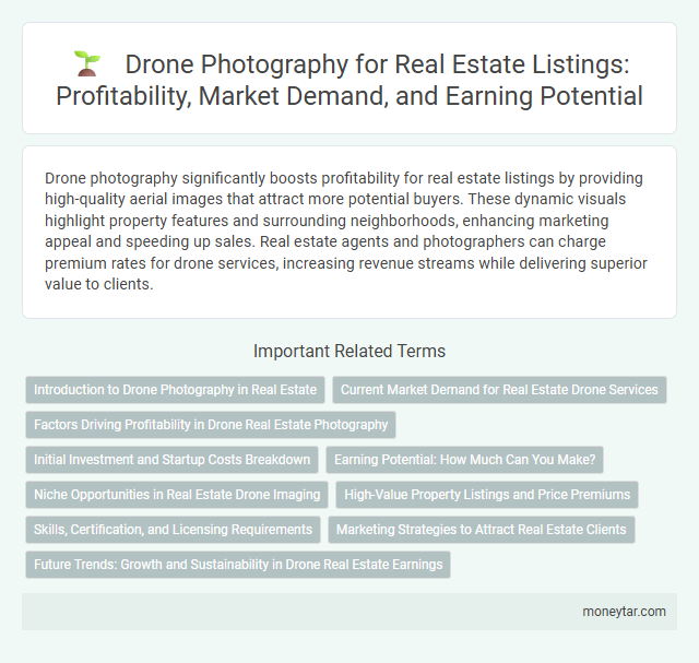 Drone Photography for Real Estate Listings: Profitability, Market Demand, and Earning Potential