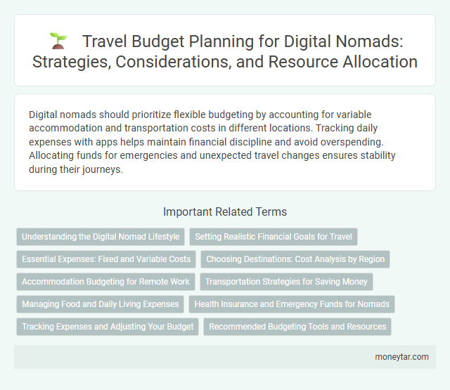Travel Budget Planning for Digital Nomads: Strategies, Considerations, and Resource Allocation