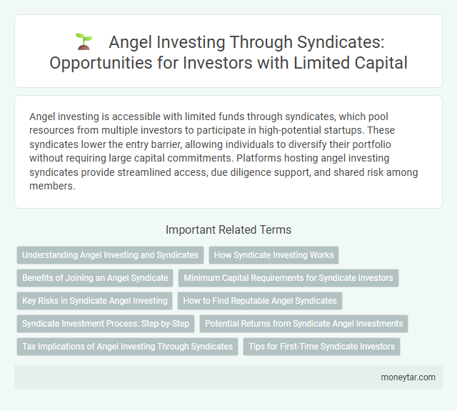 Angel Investing Through Syndicates: Opportunities for Investors with Limited Capital
