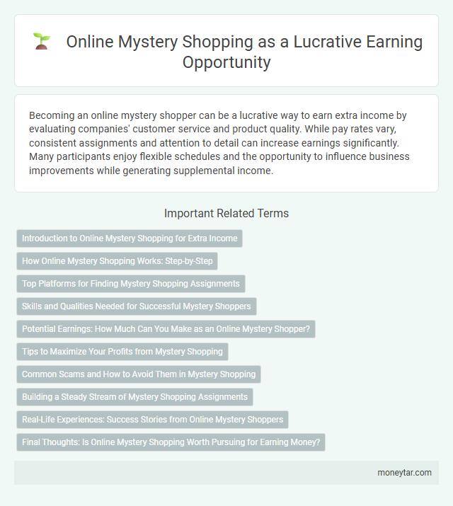 Online Mystery Shopping as a Lucrative Earning Opportunity
