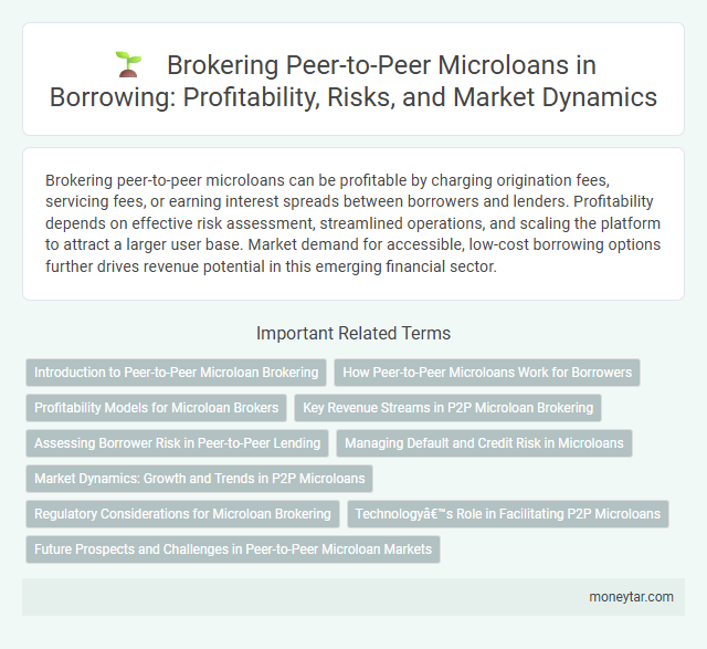 Brokering Peer-to-Peer Microloans in Borrowing: Profitability, Risks, and Market Dynamics