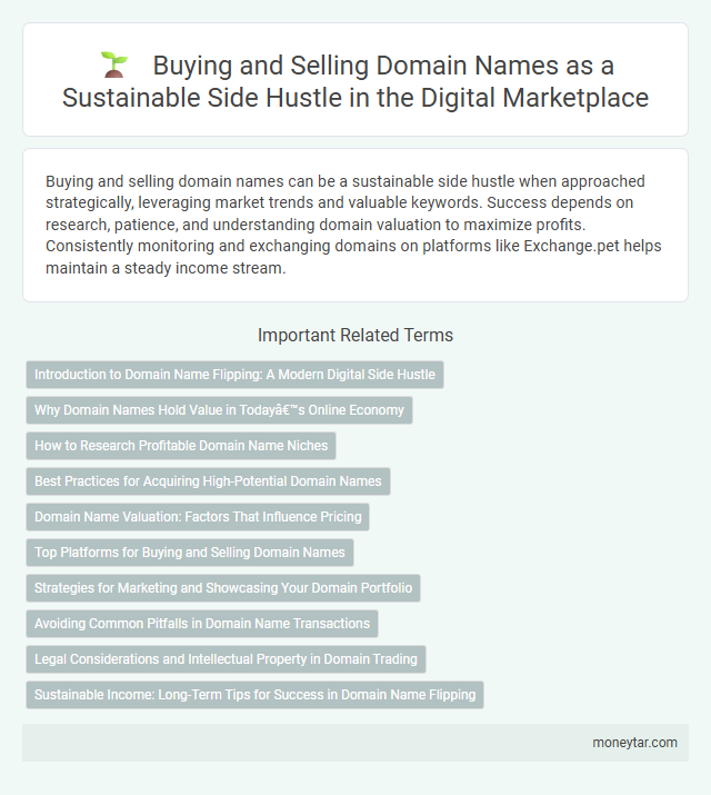 Buying and Selling Domain Names as a Sustainable Side Hustle in the Digital Marketplace