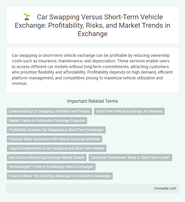 Car Swapping Versus Short-Term Vehicle Exchange: Profitability, Risks, and Market Trends in Exchange