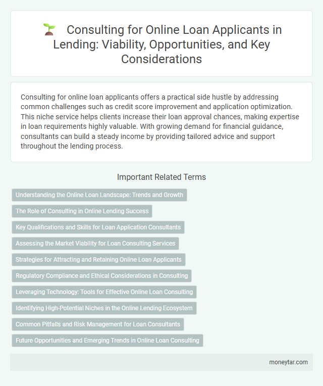 Consulting for Online Loan Applicants in Lending: Viability, Opportunities, and Key Considerations