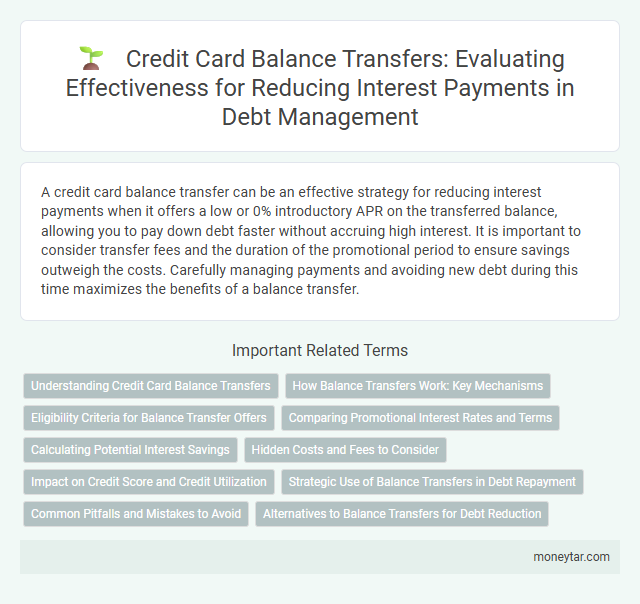 Credit Card Balance Transfers: Evaluating Effectiveness for Reducing Interest Payments in Debt Management