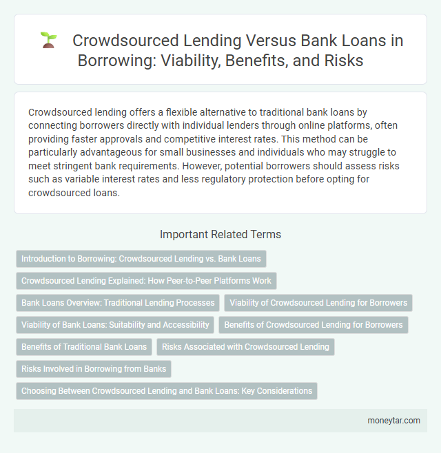 Crowdsourced Lending Versus Bank Loans in Borrowing: Viability, Benefits, and Risks