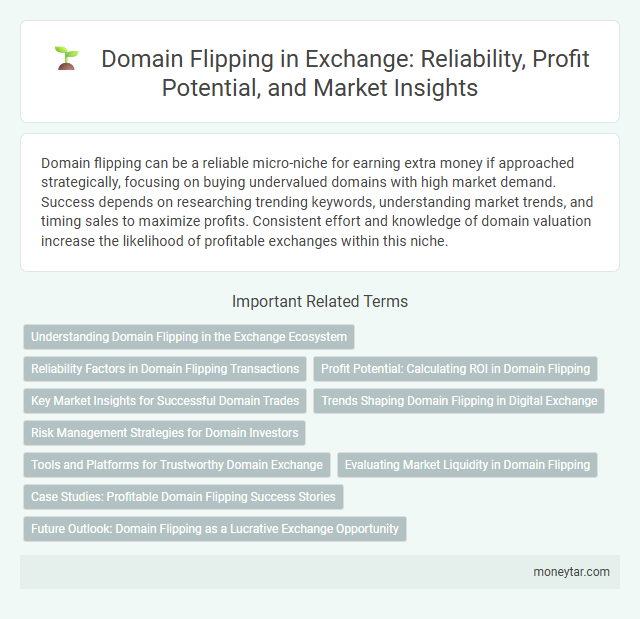 Domain Flipping in Exchange: Reliability, Profit Potential, and Market Insights