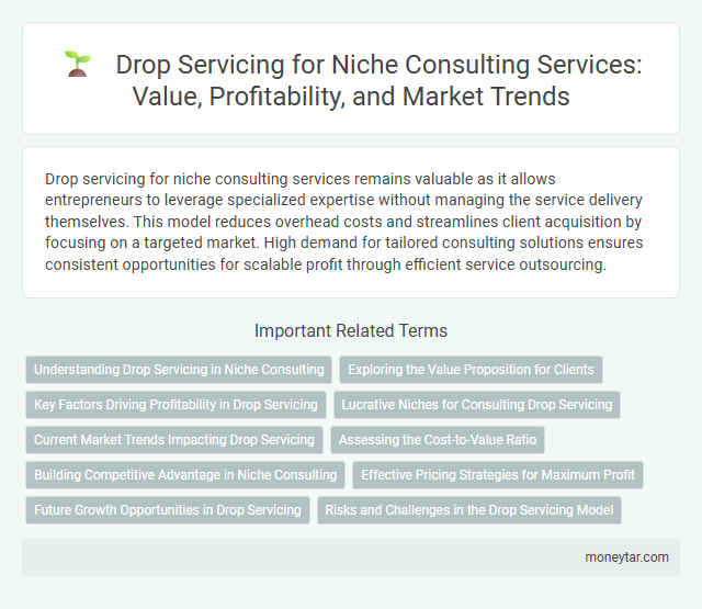 Drop Servicing for Niche Consulting Services: Value, Profitability, and Market Trends