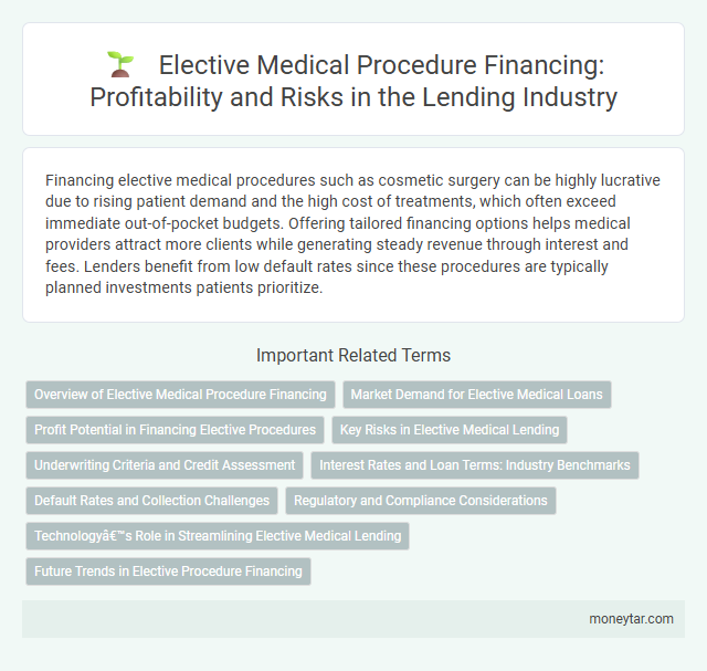 Elective Medical Procedure Financing: Profitability and Risks in the Lending Industry