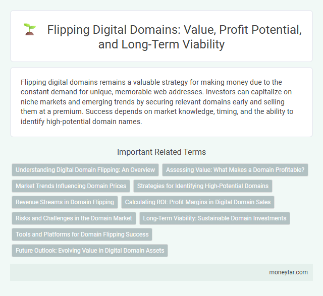 Flipping Digital Domains: Value, Profit Potential, and Long-Term Viability