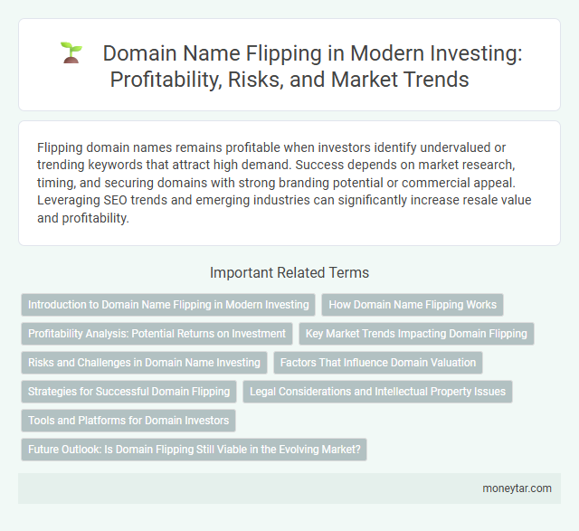 Domain Name Flipping in Modern Investing: Profitability, Risks, and Market Trends