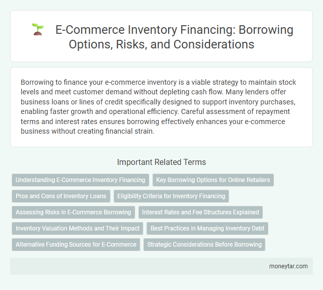 E-Commerce Inventory Financing: Borrowing Options, Risks, and Considerations