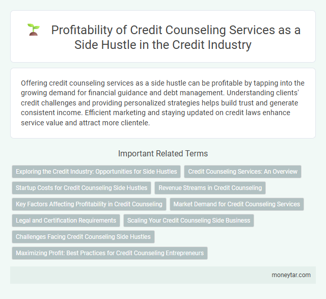 Profitability of Credit Counseling Services as a Side Hustle in the Credit Industry