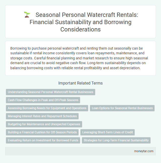 Seasonal Personal Watercraft Rentals: Financial Sustainability and Borrowing Considerations