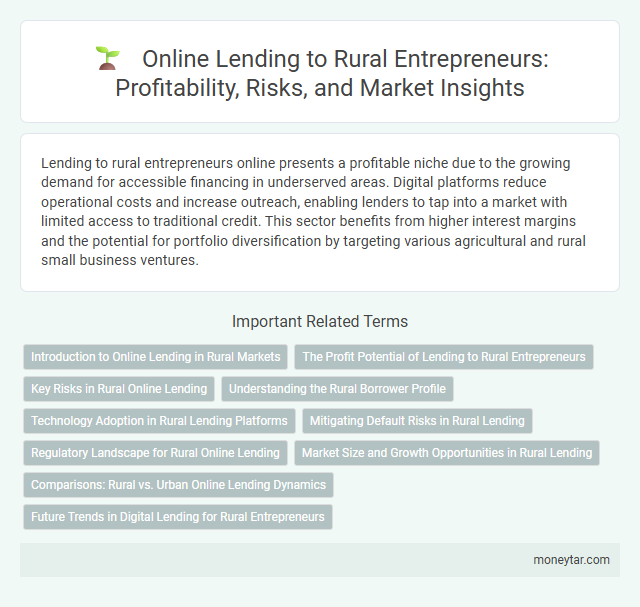 Online Lending to Rural Entrepreneurs: Profitability, Risks, and Market Insights