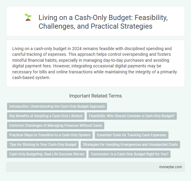 Living on a Cash-Only Budget: Feasibility, Challenges, and Practical Strategies