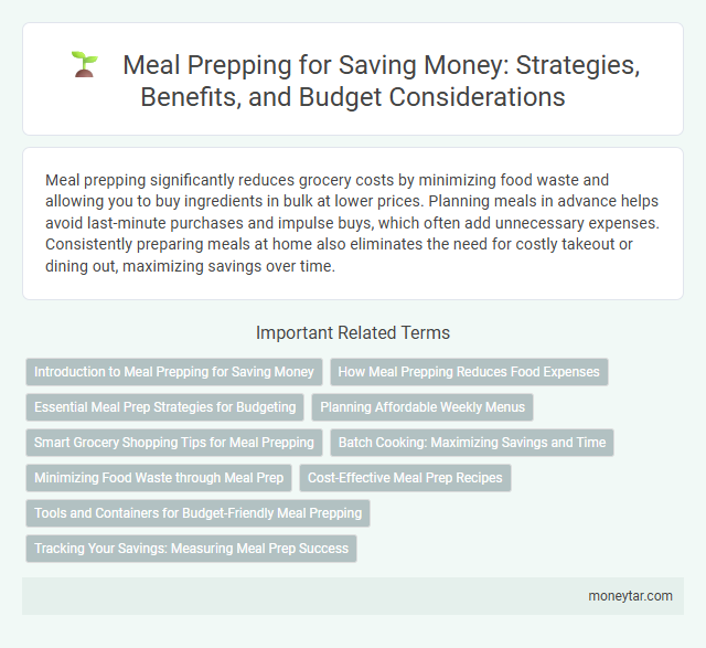 Meal Prepping for Saving Money: Strategies, Benefits, and Budget Considerations