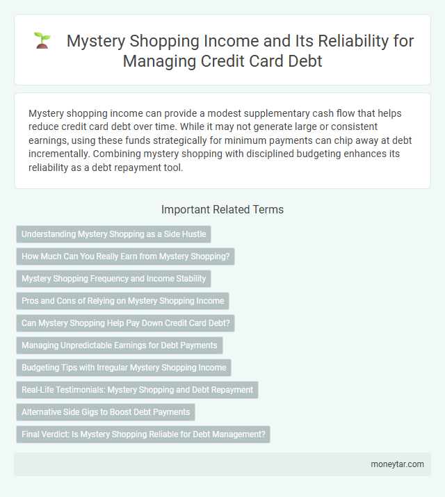 Mystery Shopping Income and Its Reliability for Managing Credit Card Debt