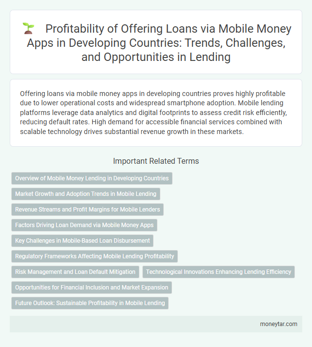Profitability of Offering Loans via Mobile Money Apps in Developing Countries: Trends, Challenges, and Opportunities in Lending