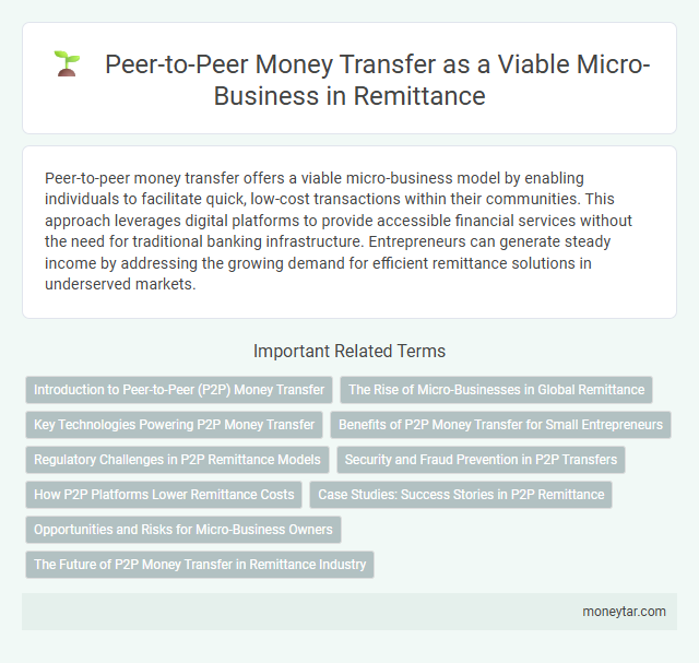 Peer-to-Peer Money Transfer as a Viable Micro-Business in Remittance